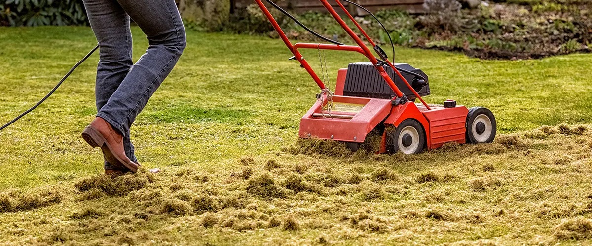 Sod Repairs