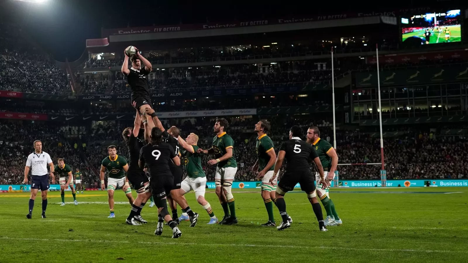 springboks vs new zealand