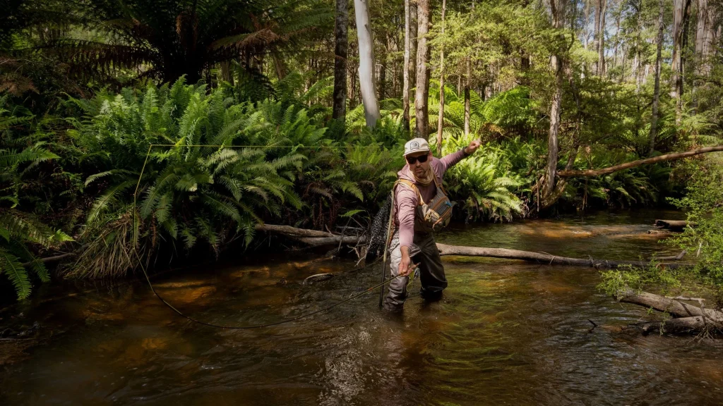 fly fishing for bass