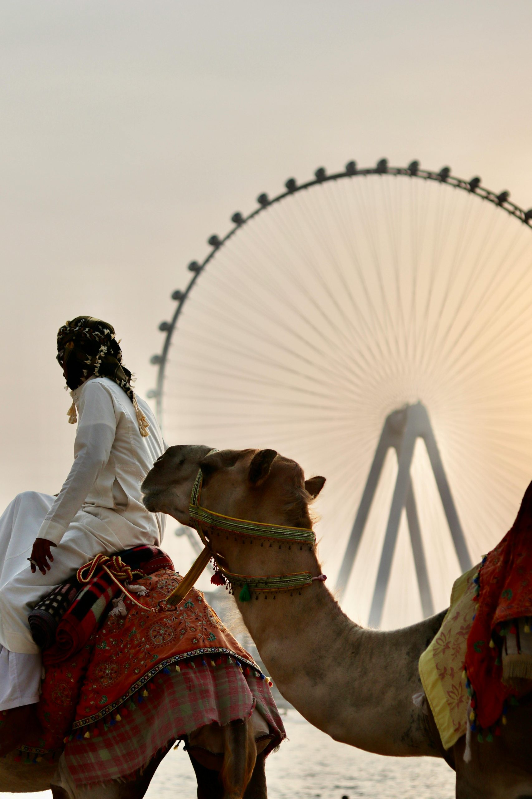 Morocco Luxury Tours