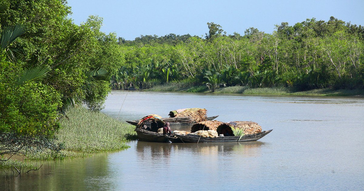 Things to do in Dhaka