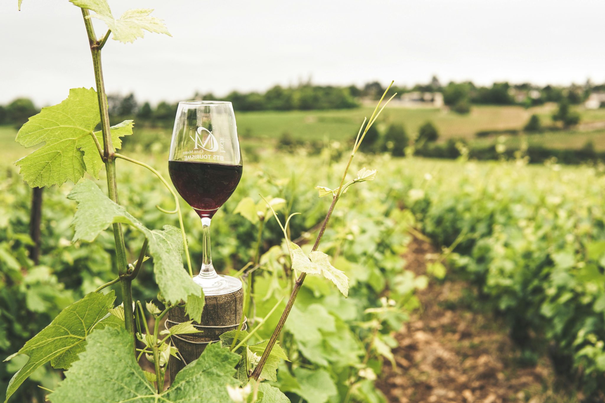 clarksburg wineries